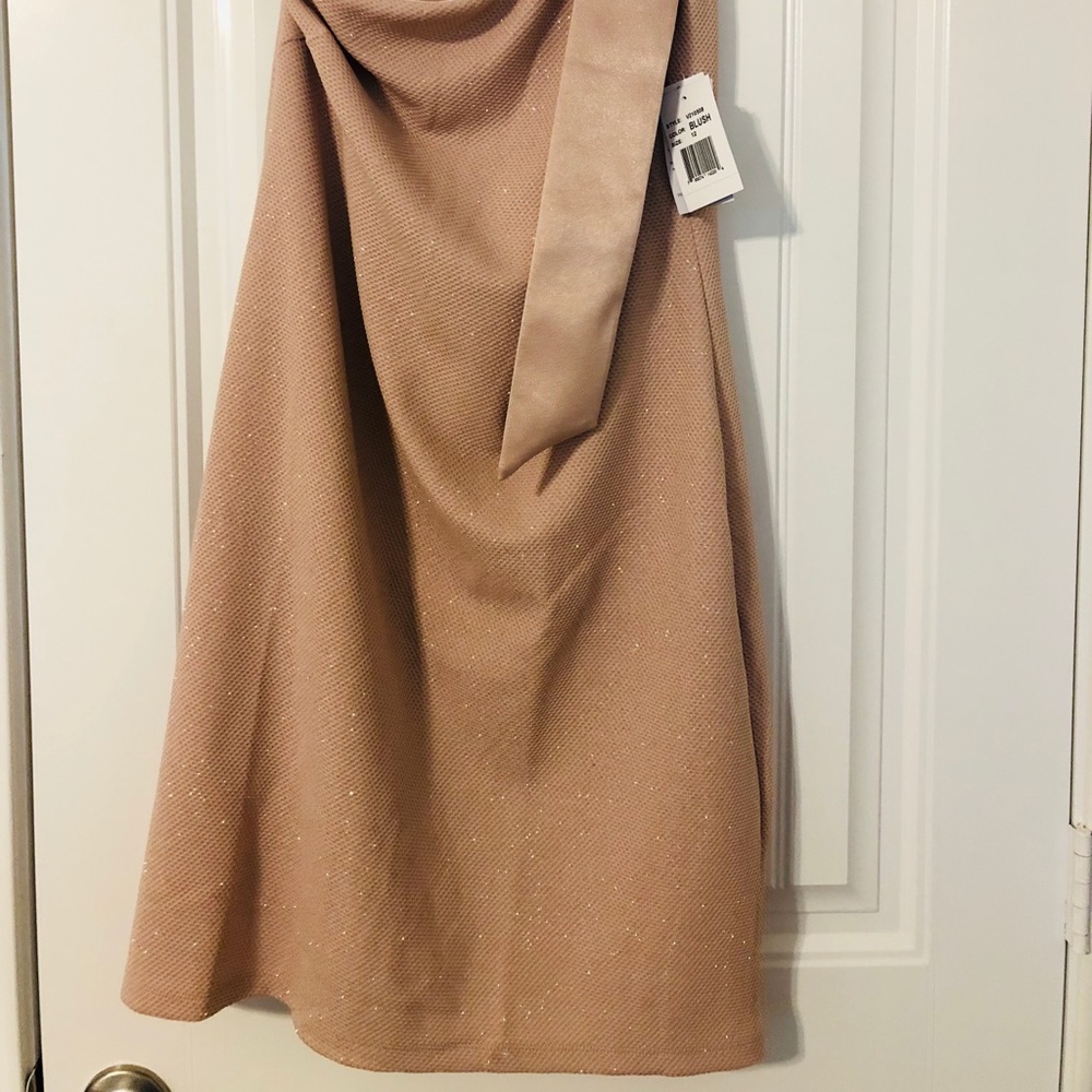 ‼️Last One‼️Ronni Nicole Evenings Blush Dress Sz16 - Picture 3 of 7